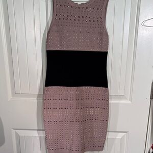 bebe Tan and Black Studded Mini Dress